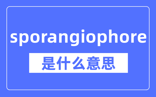 sporangiophore是什么意思,sporangiophore怎么读,中文翻译是什么