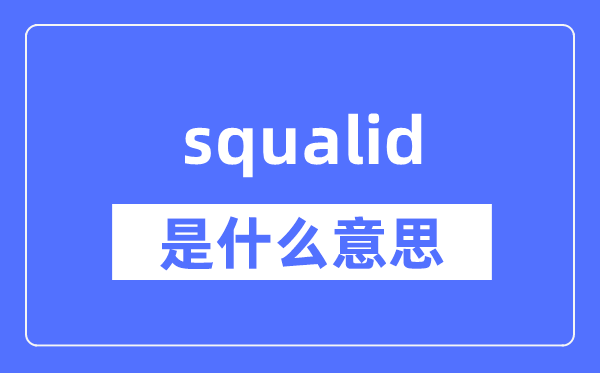 squalid是什么意思,squalid怎么读,中文翻译是什么