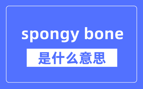 spongy bone是什么意思,spongy bone怎么读,中文翻译是什么