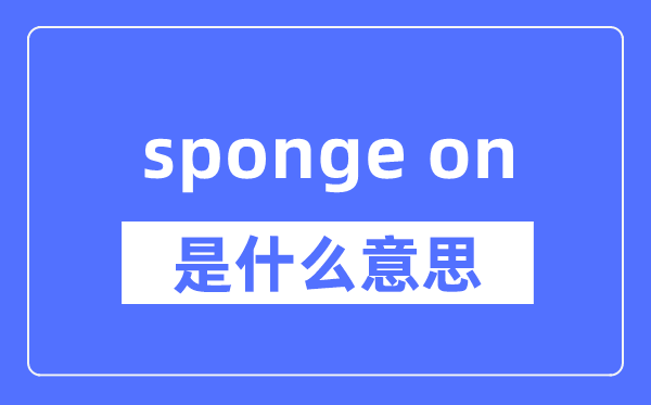 sponge on是什么意思,sponge on怎么读,中文翻译是什么