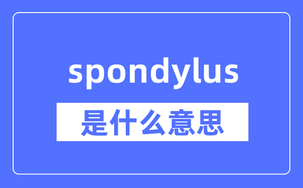 spondylus是什么意思,spondylus怎么读,中文翻译是什么