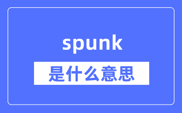 spunk是什么意思,spunk怎么读,中文翻译是什么