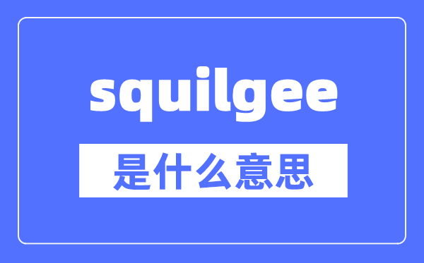 squilgee是什么意思,squilgee怎么读,中文翻译是什么