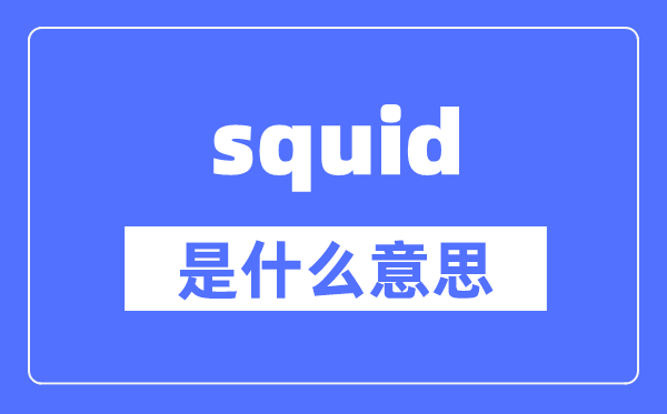 squid是什么意思,squid怎么读,中文翻译是什么