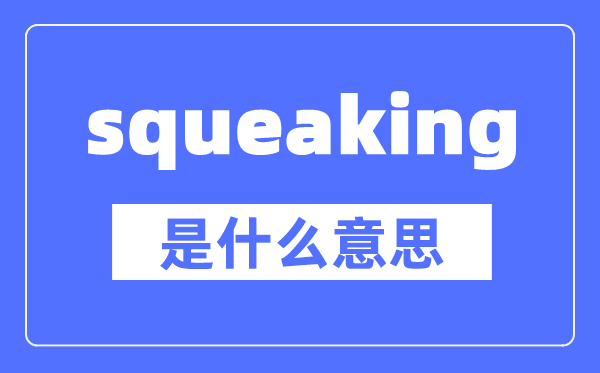 squeaking是什么意思,squeaking怎么读,中文翻译是什么