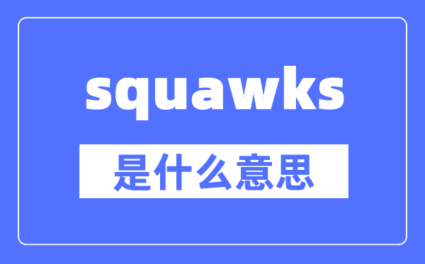 squawks是什么意思,squawks怎么读,中文翻译是什么