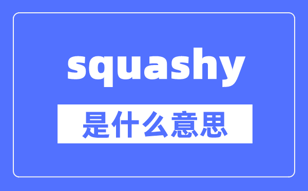 squashy是什么意思,squashy怎么读,中文翻译是什么