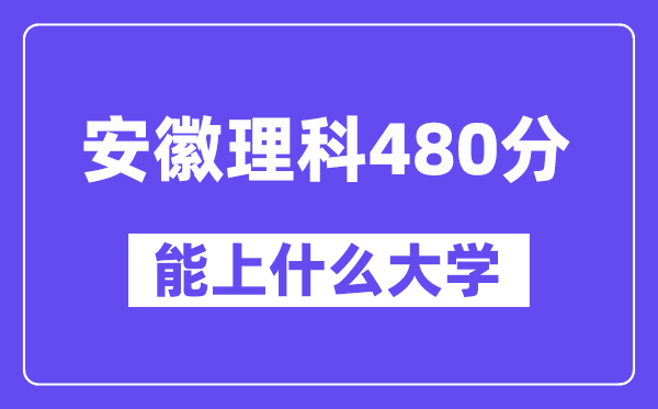 安徽理科480分左右能上什么大学？（物理类）