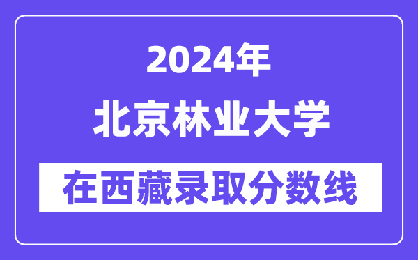 北京林业大学2024年在西藏录取分数线一览表（2025年参考）