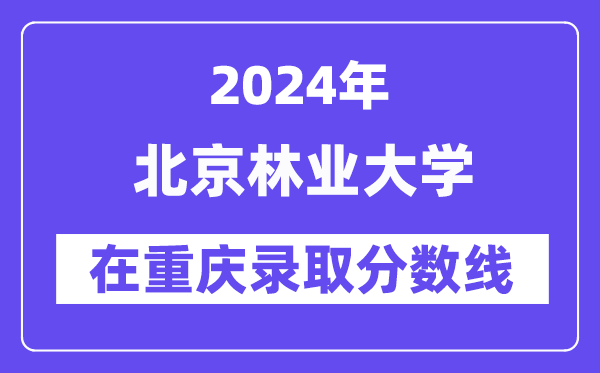 北京林业大学2024年在重庆录取分数线一览表（2025年参考）