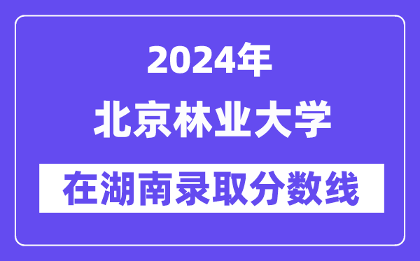 北京林业大学2024年在湖南录取分数线一览表（2025年参考）