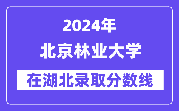 北京林业大学2024年在湖北录取分数线一览表（2025年参考）