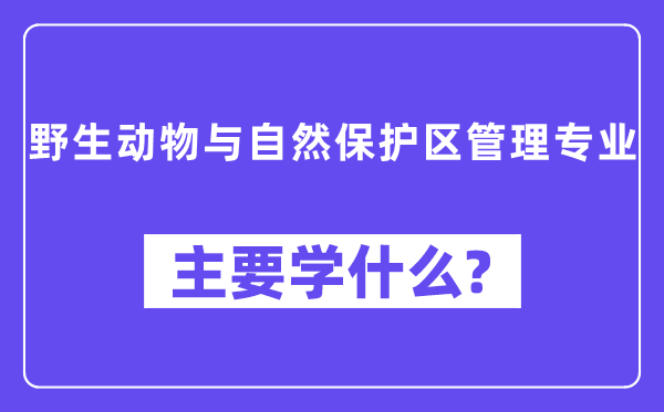 野生动物与自然保护区管理专业主要学什么？附野生动物与自然保护区管理专业课程目录